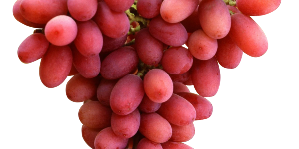 Red Grapes - 960x1456