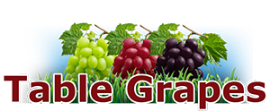 grapes22small
