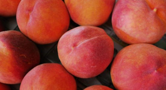 peaches-1387012_1920-1080x675 (1)